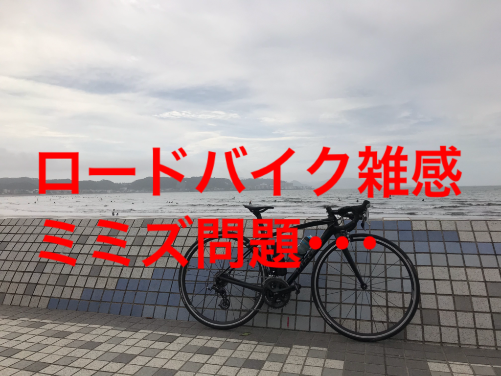 ロードバイク雑感 ロードバイクと路面にいるミミズ問題 月30 000円のお小遣いでロードバイク